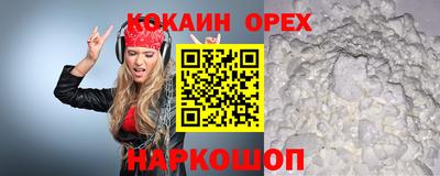 гидропоника Сланцы