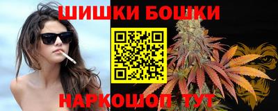 гидропоника Сланцы