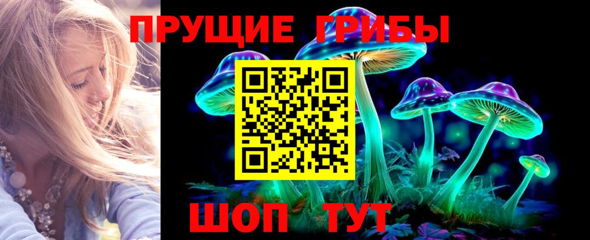 Псилоцибиновые грибы мицелий  Вход с VPN  Псилоцибиновые грибы Cubensis  Новокубанск 